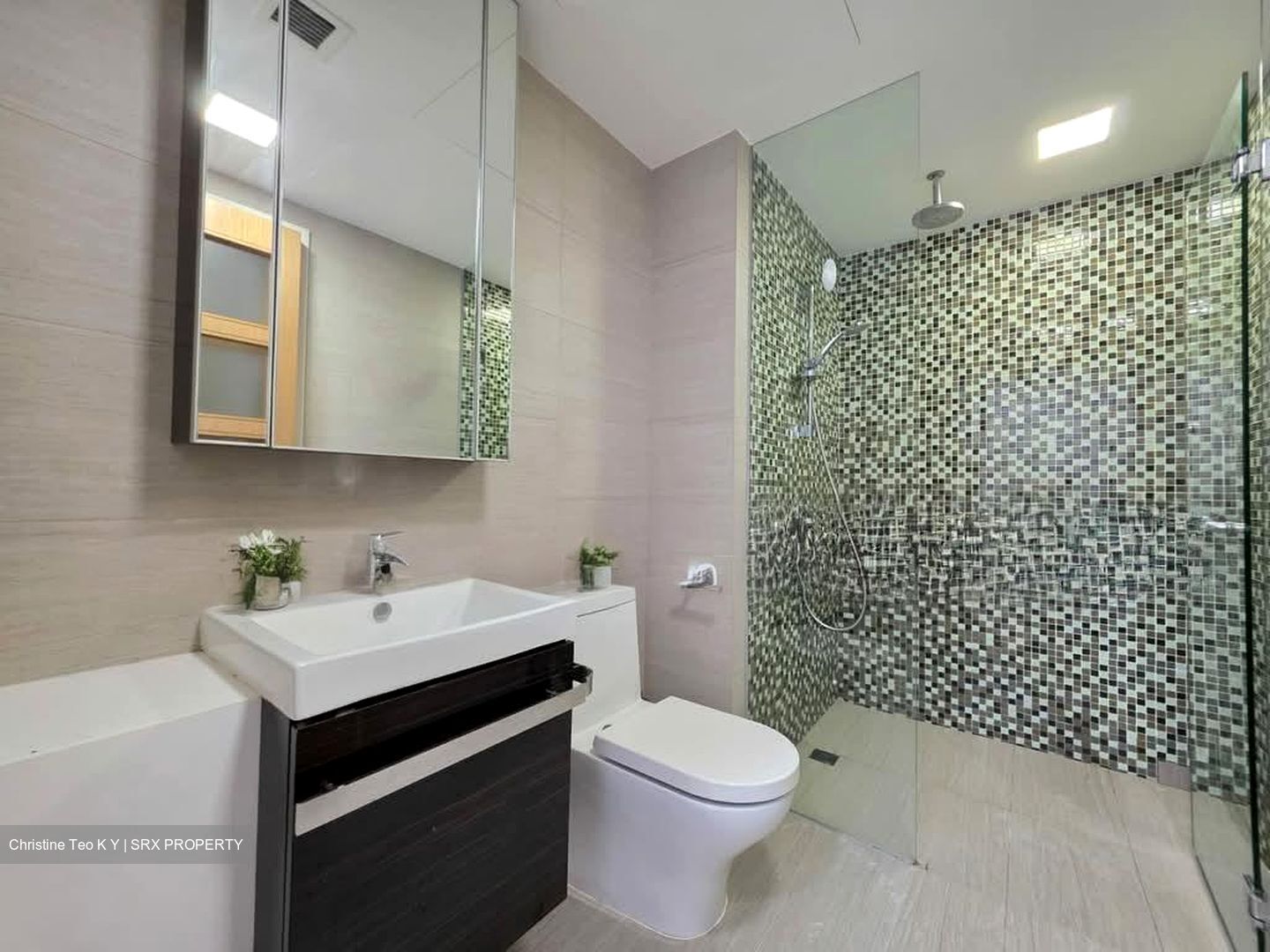 Sant Ritz (D13), Condominium #544330851